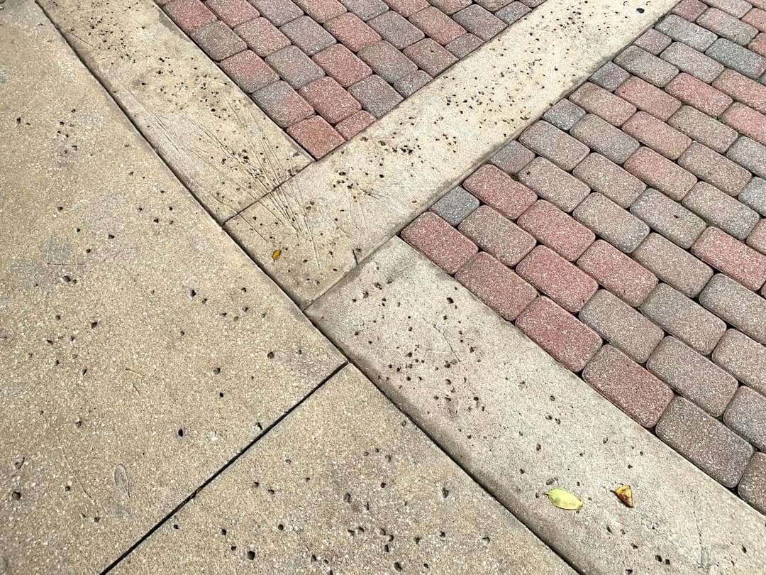 Sidewalk Installation in Citrus Heights, CA